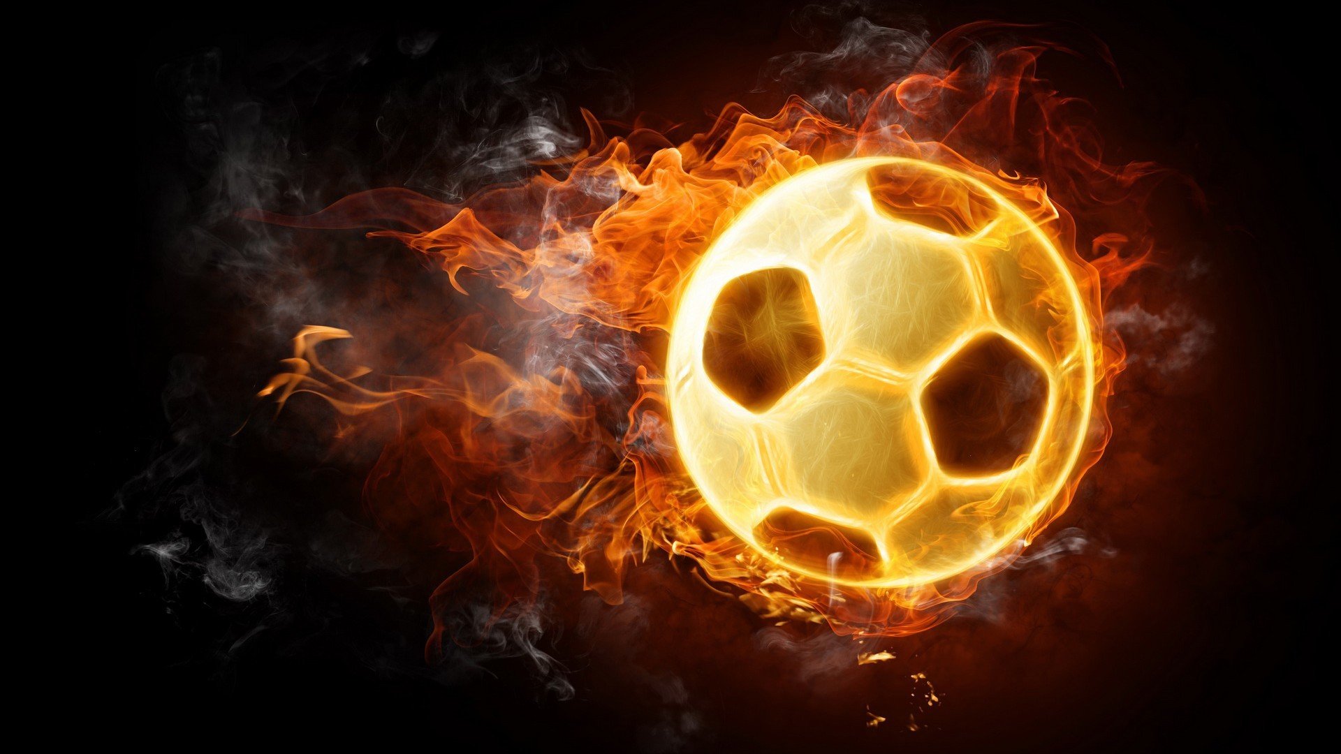 开云电竞-体育科普展览进校园传播科学运动理念，体育运动科普小知识