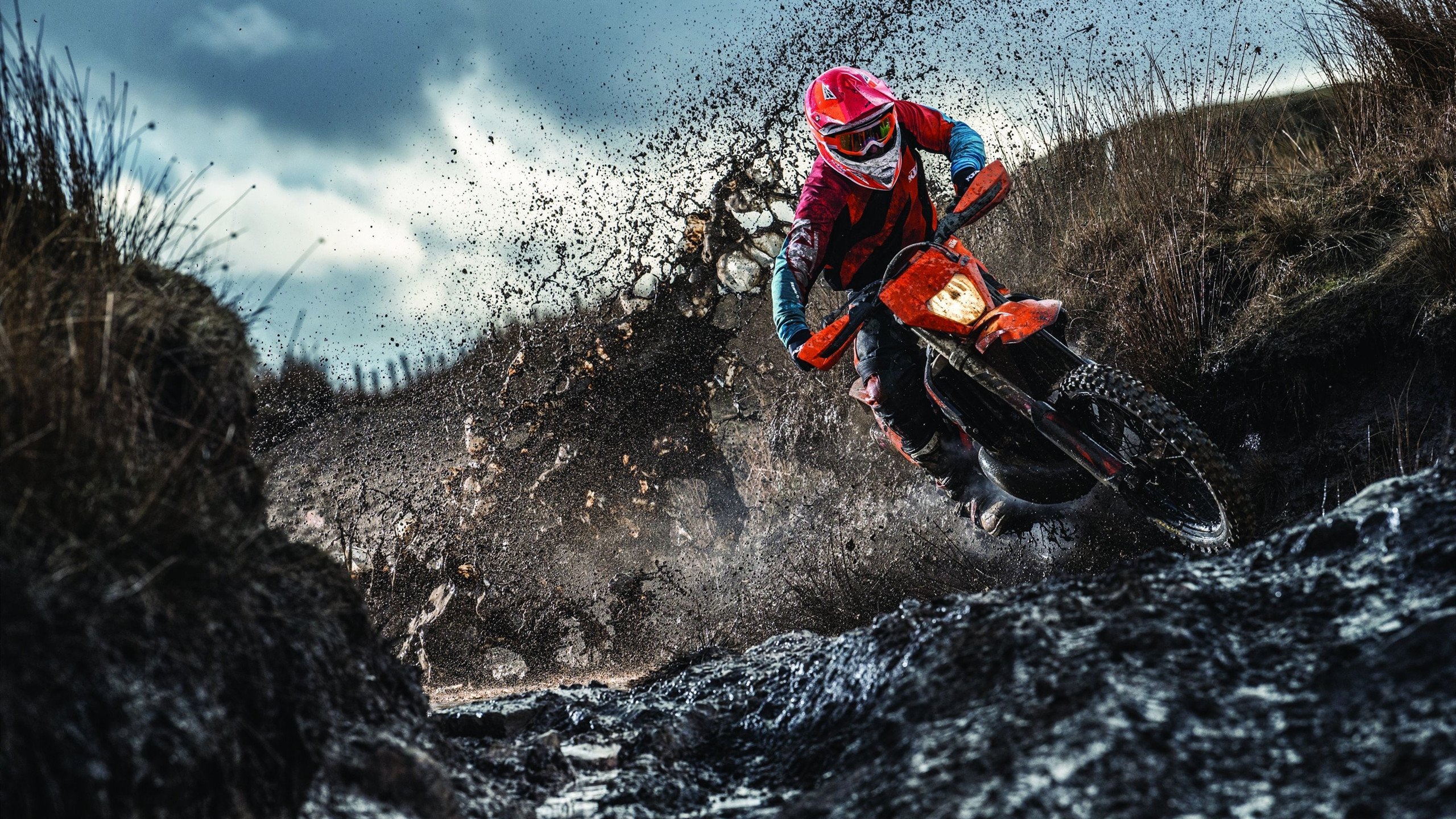 开云体育下载-陈佳蝶泳冲线瞬间惊艳全场，陈佳怡游泳